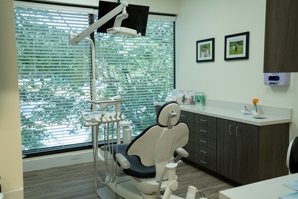 Vernon Woods Dental Implant Center | Periodontal Treatment, Preventative Program and Dental Bridges