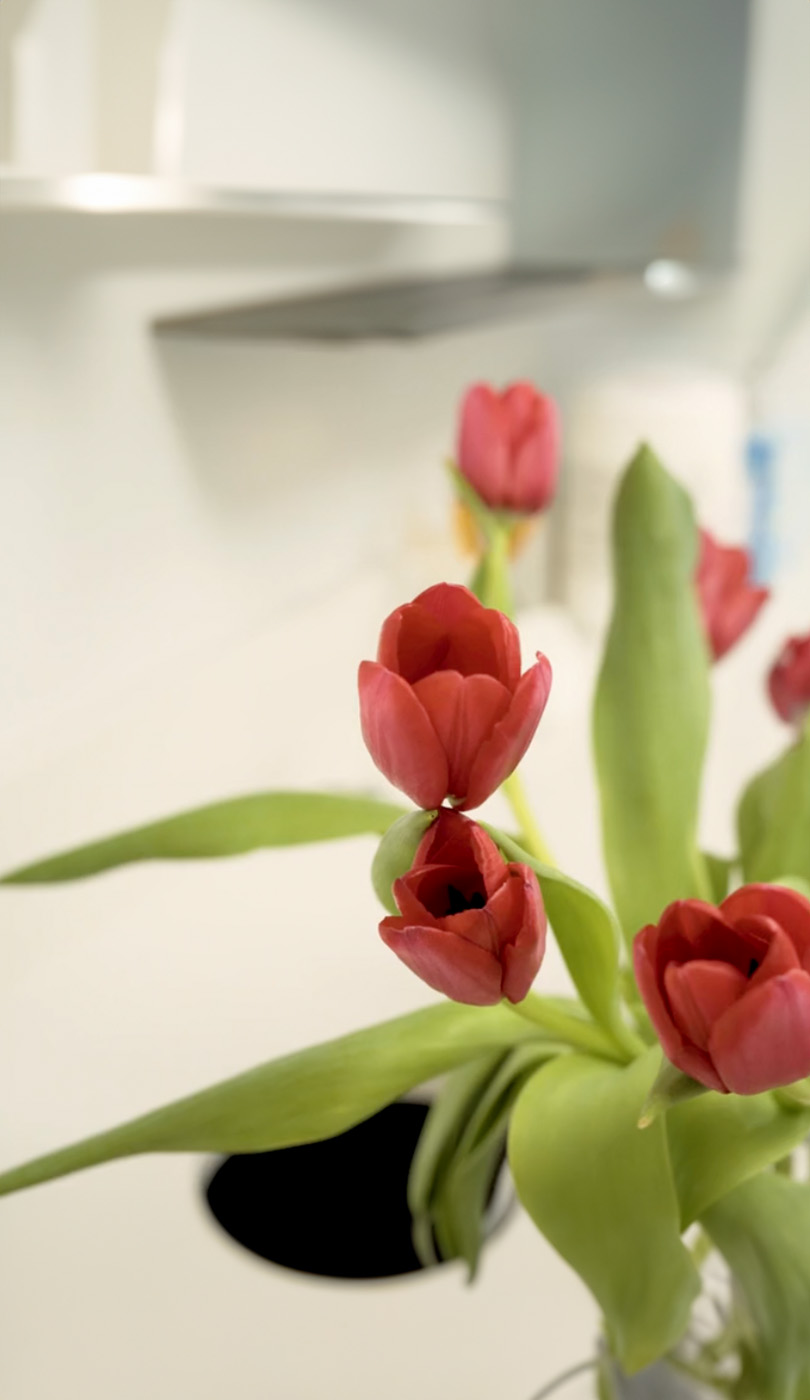 The image shows a modern dental or medical office interior with a dental chair, equipment, and a clean, professional environment.